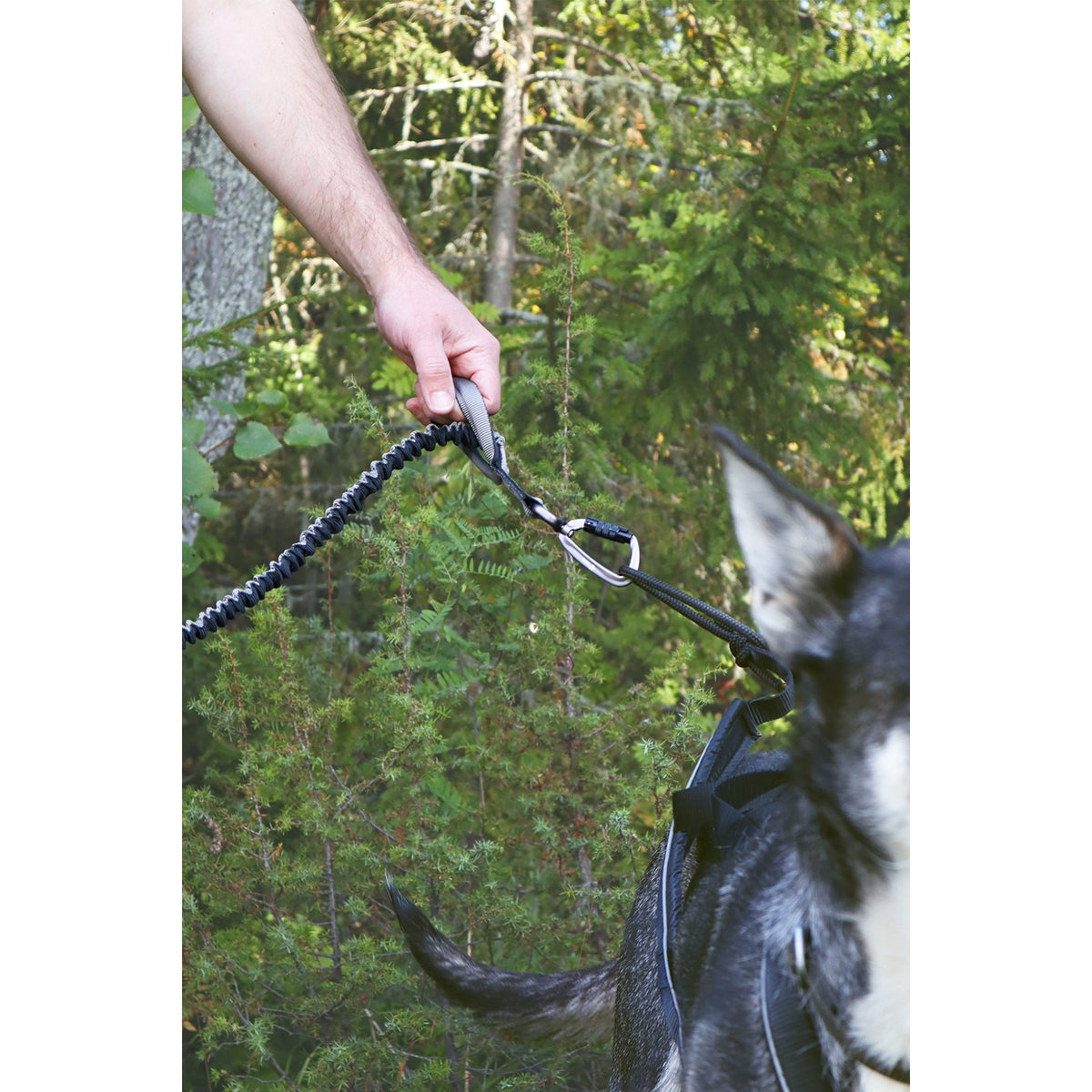Lumac Sledding TERRA Bungee with Handle