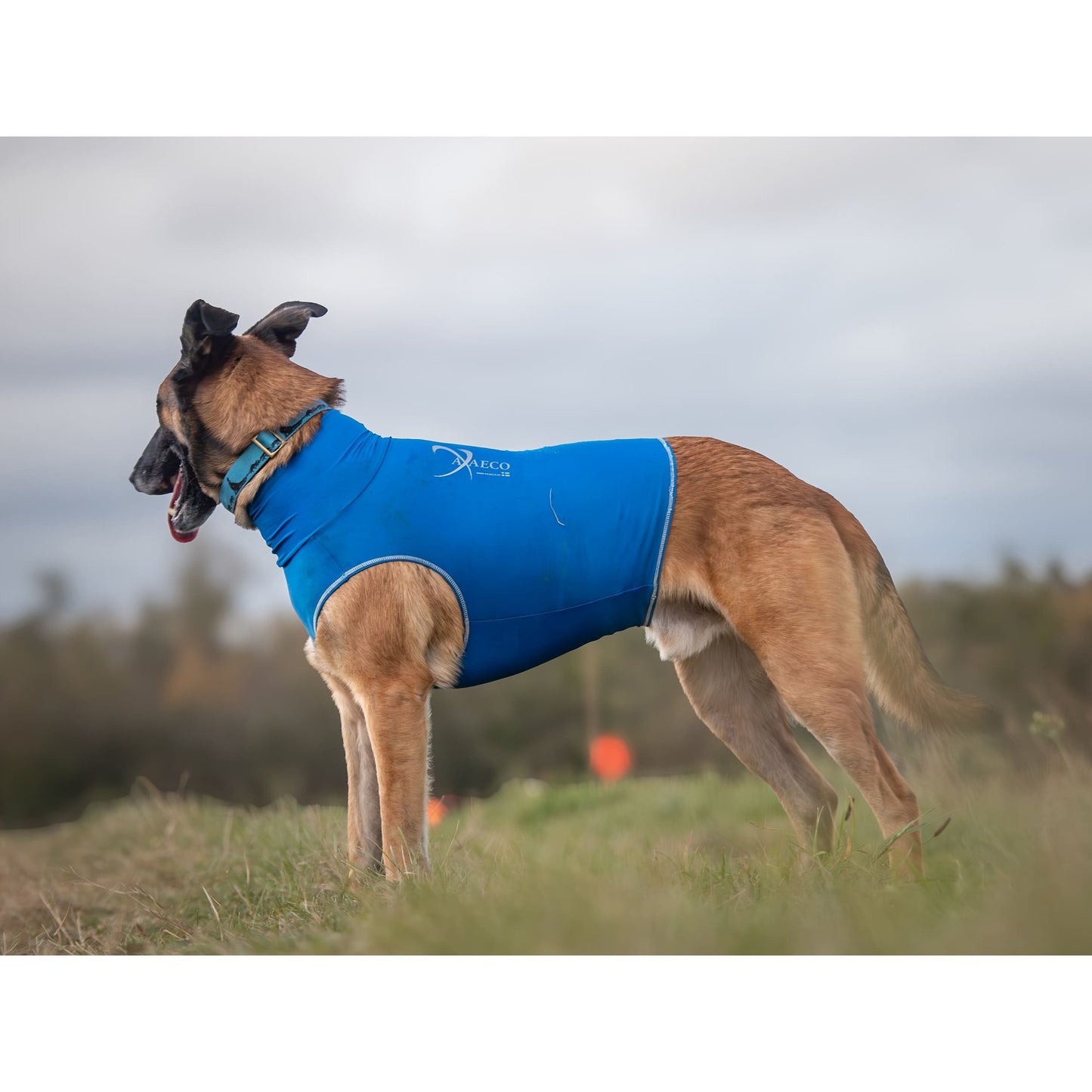 Axaeco All-Rounder Pro