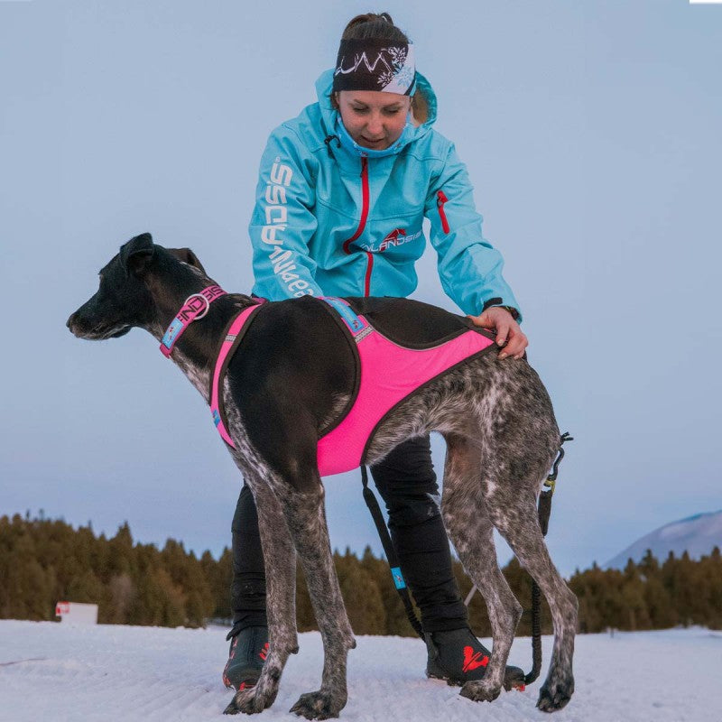Inlandis Blizzard Beast Harness V2