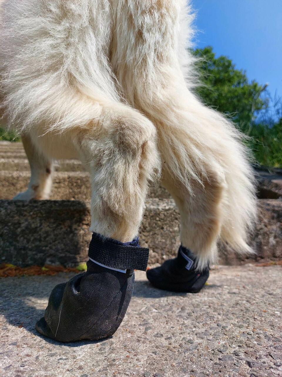 Lumac Sledding Armor Bootie, 4 pcs