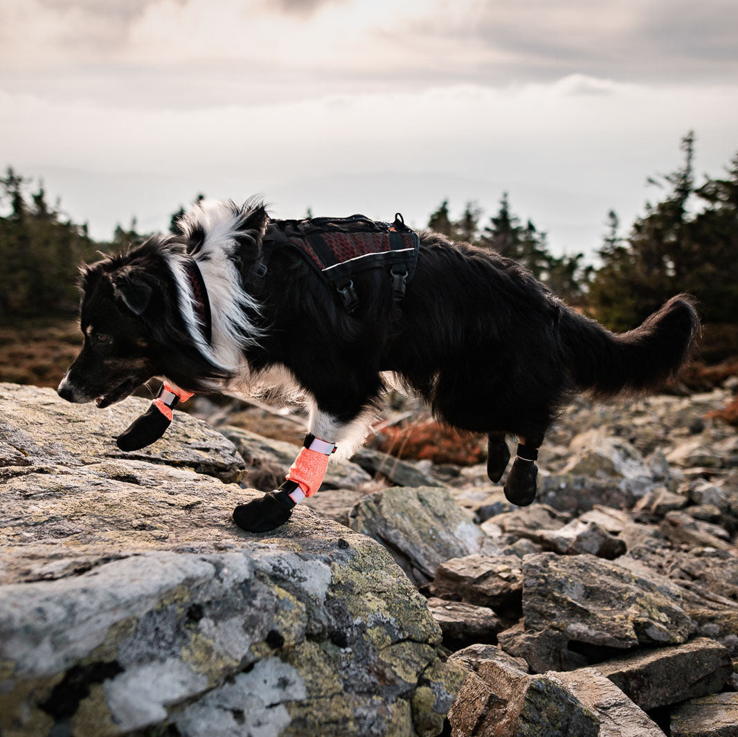 Non-stop dogwear Protector Bootie High, 4 kpl