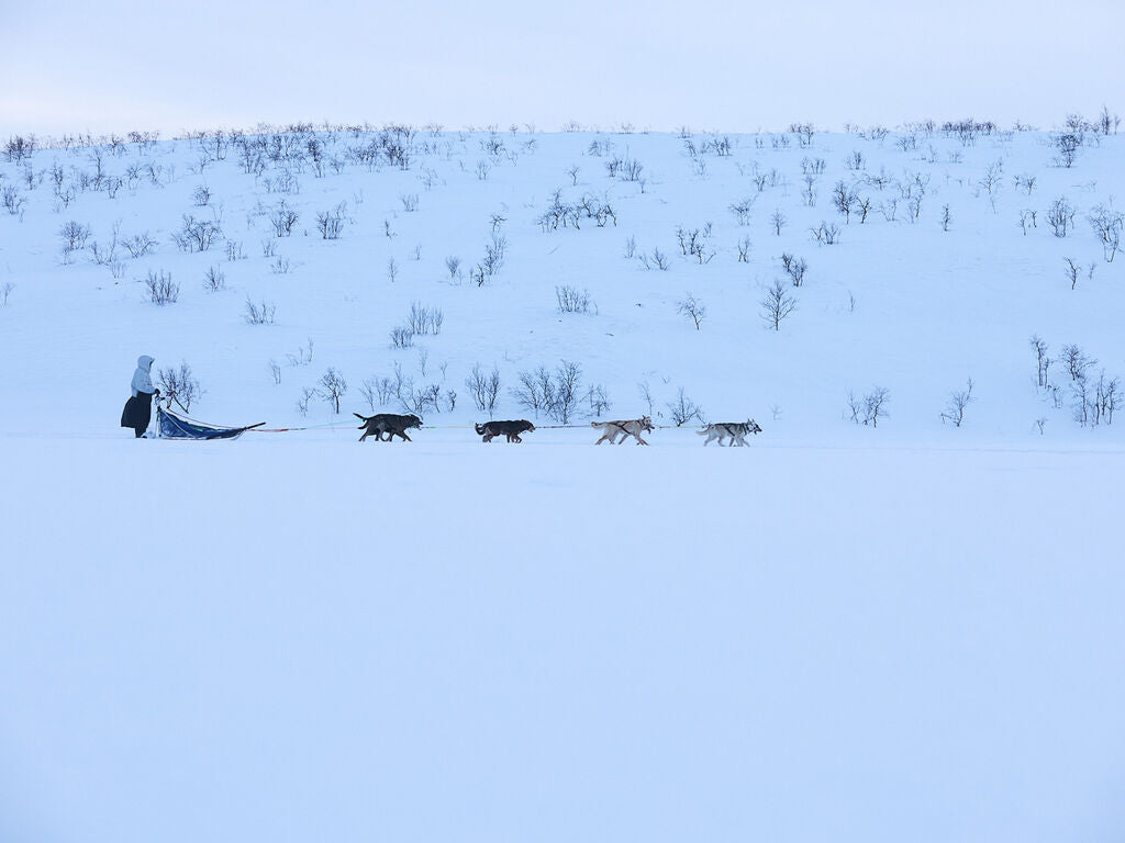 Non-stop dogwear Tundra anojakka 2.0