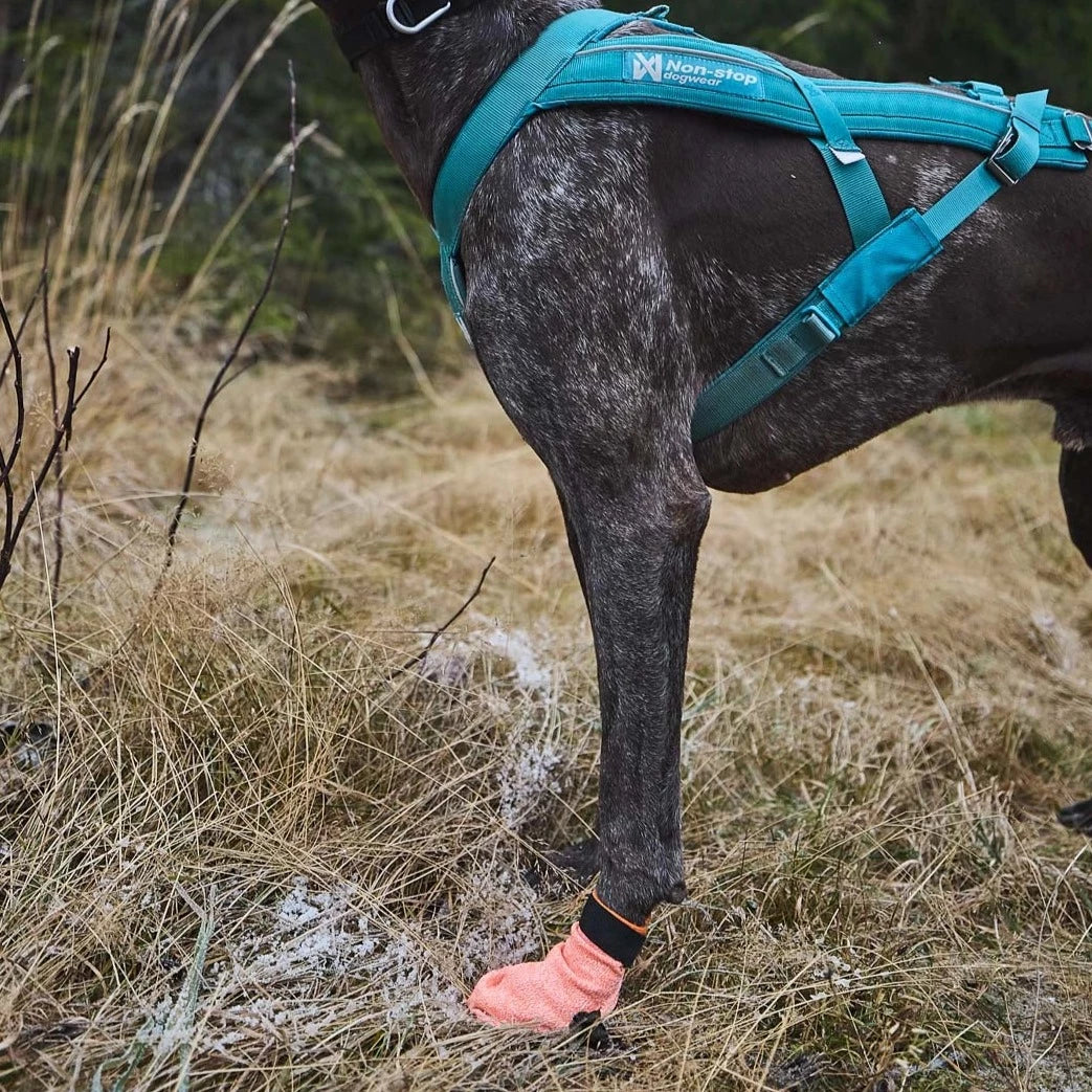 Non-stop dogwear Protector Light Socks, 4 pcs