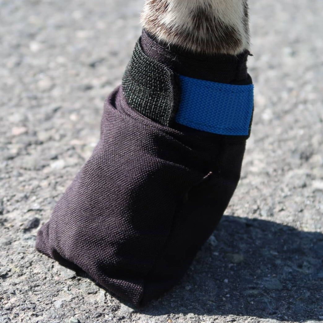 V.I.P. dogwear Finnmark Booties, 4 Stück