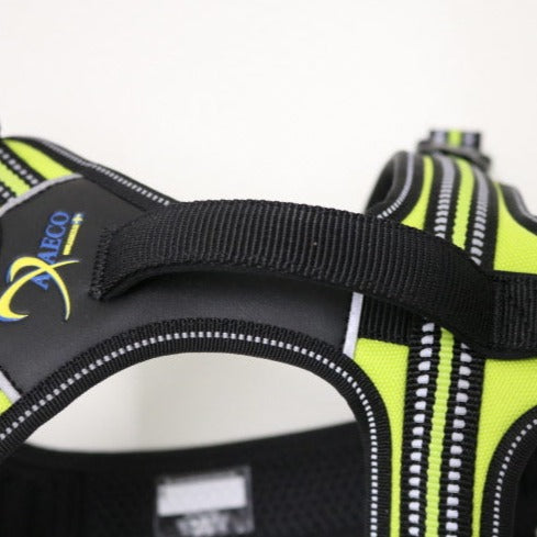 Axaeco 4 Season Power Harness OUTLET