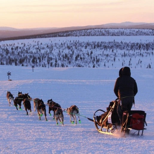 Axaeco Racing Wire Line Wheel Section