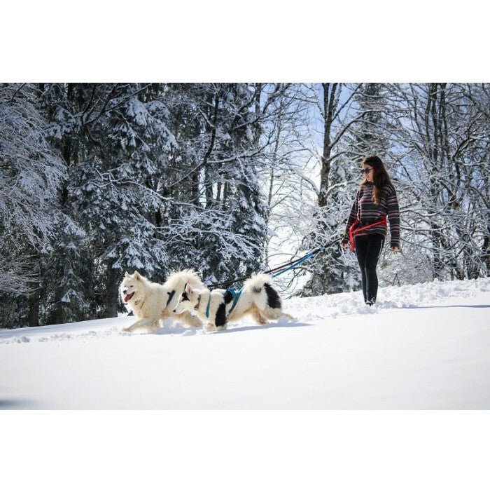 Inlandis Twincross 2-Dog Canicross Leash