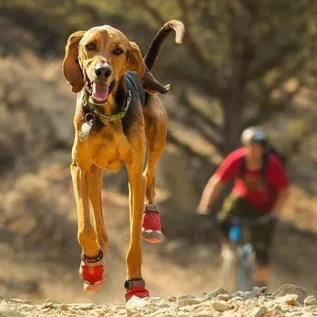 Ruffwear Grip Trex Dog Boots, 2 pcs