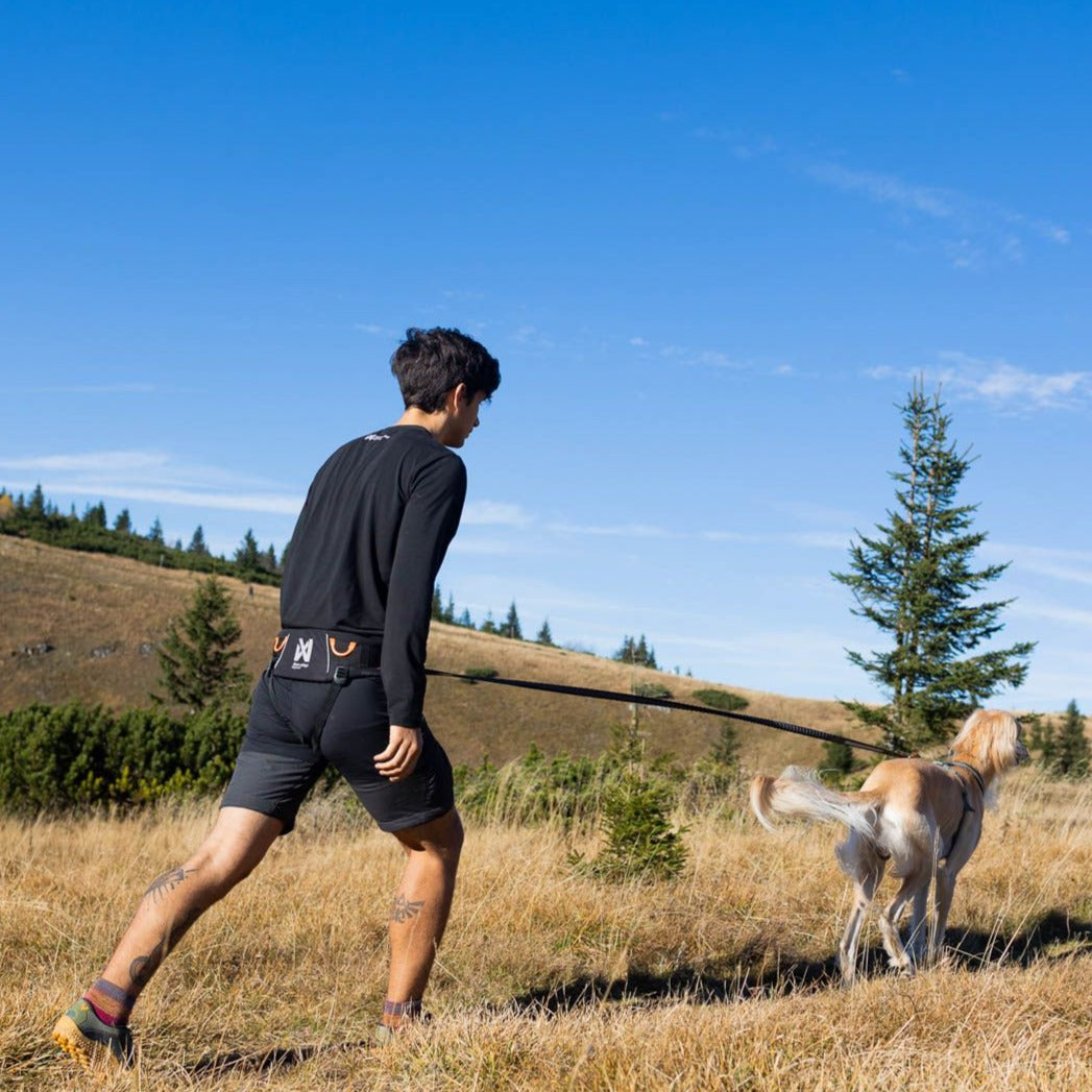 Non-stop dogwear Trekking Belt 2.0