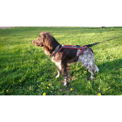 Kainpo Sprint Harness