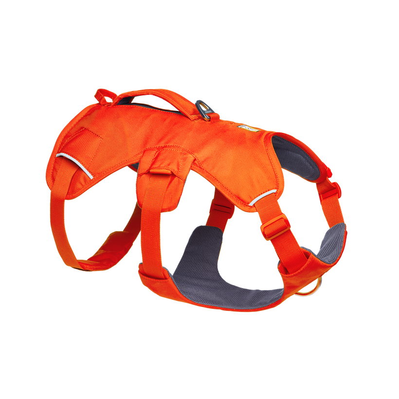 Ruffwear Web Master™ Dog Harness