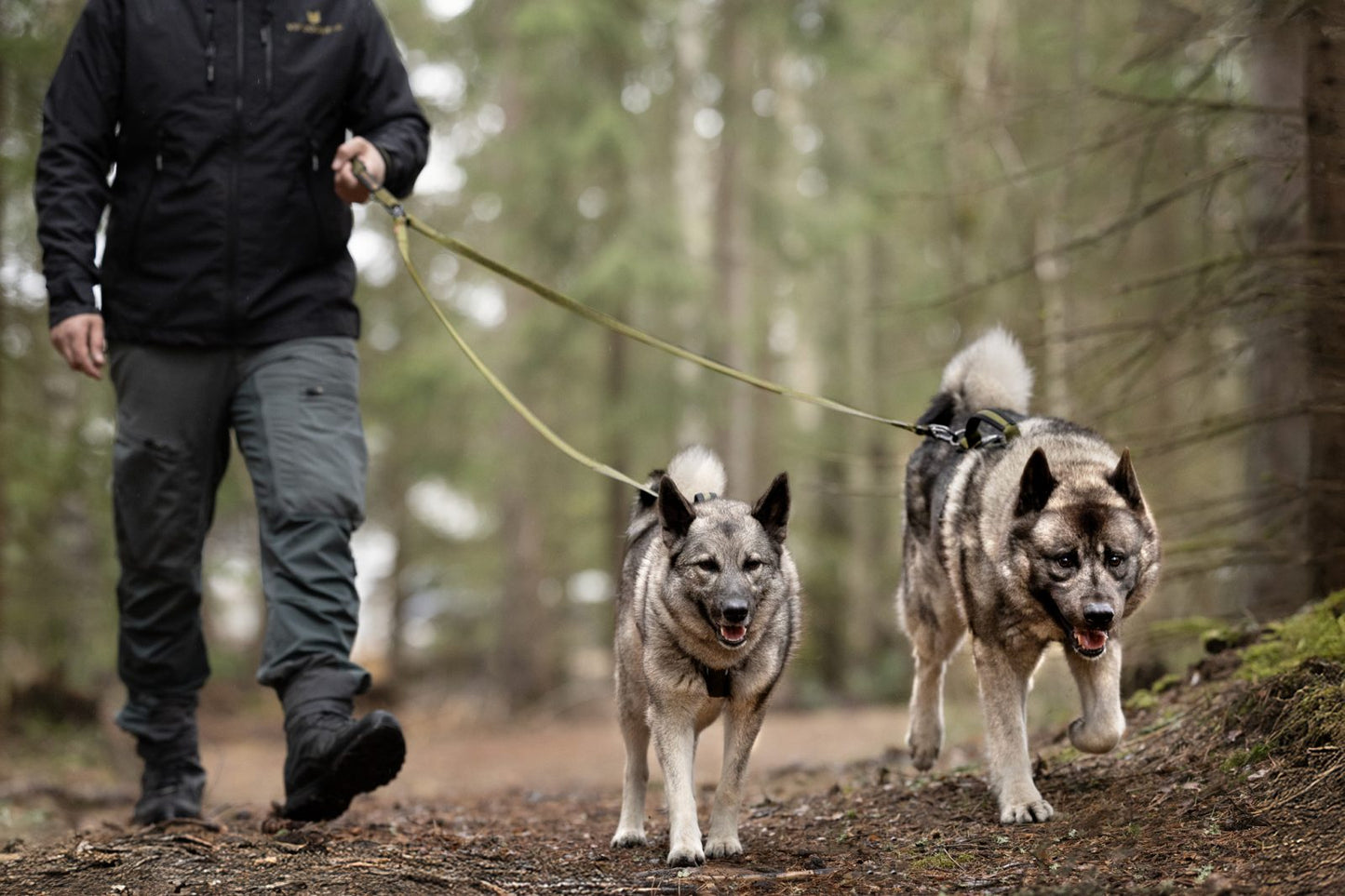 V.I.P. dogwear Walker Duo Leash