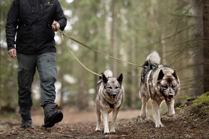 V.I.P. dogwear Walker Duo Leash