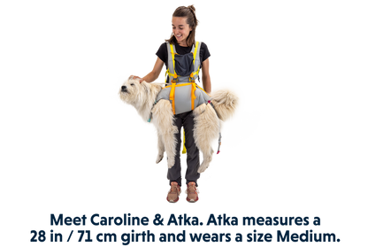 Ruffwear BackTrak Dog Evacuation Kit