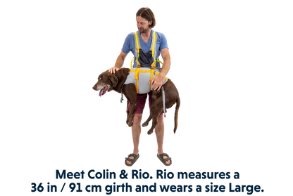 Ruffwear BackTrak Dog Evacuation Kit