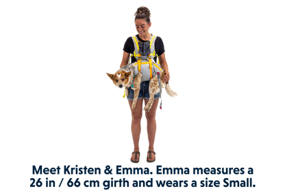 Ruffwear BackTrak Dog Evacuation Kit