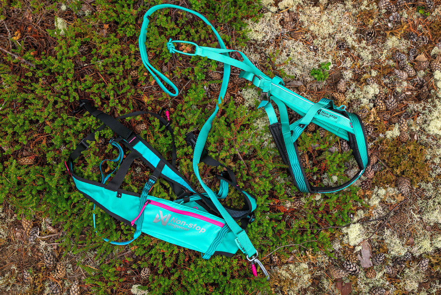 Non-stop dogwear CaniX Belt 2.0