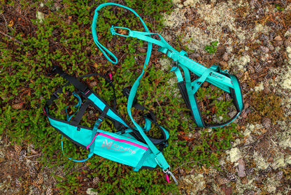 Non-stop dogwear CaniX Belt 2.0