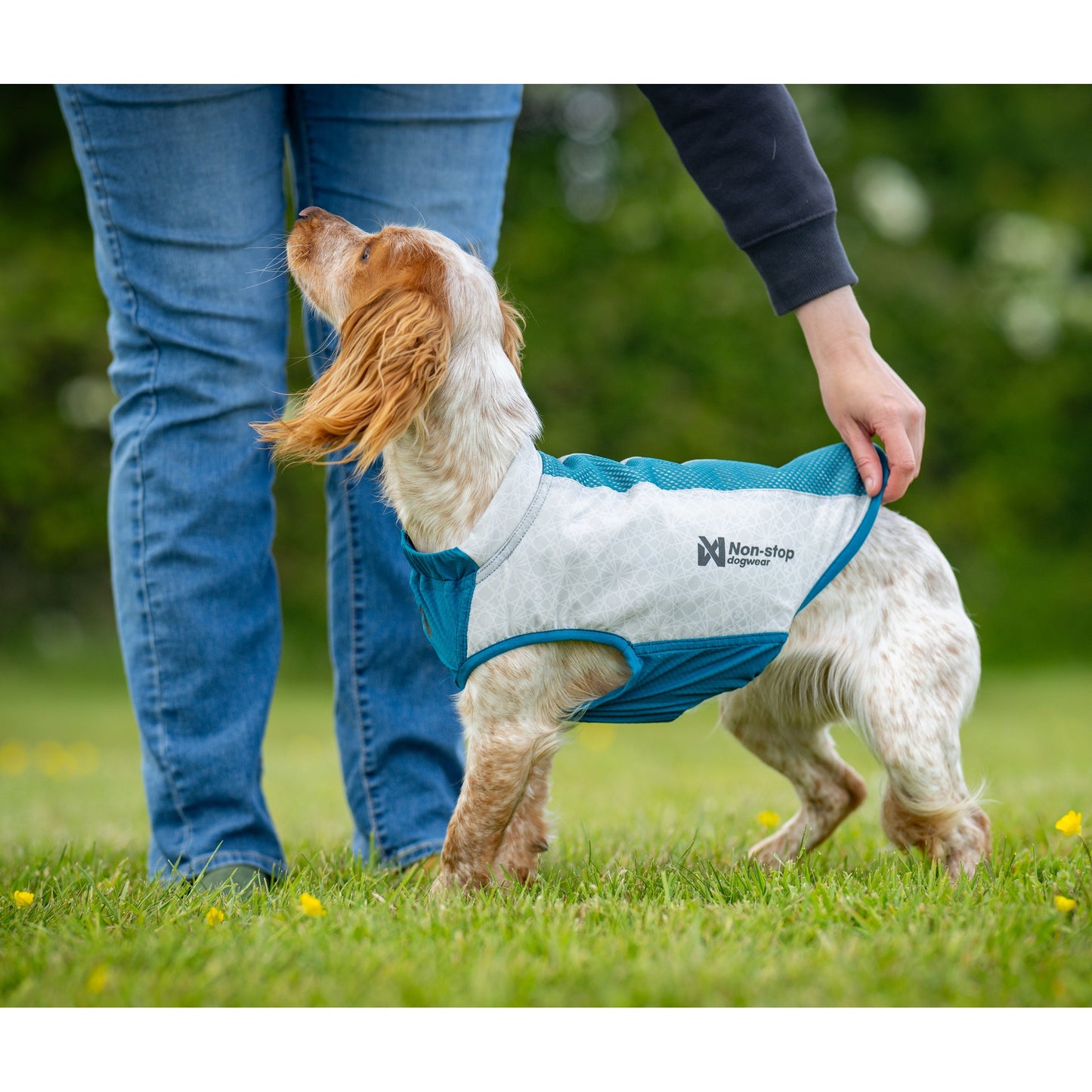 Non-stop dogwear Cooling Pull-On Vest