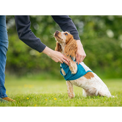 Non-stop dogwear Cooling Pull-On Vest