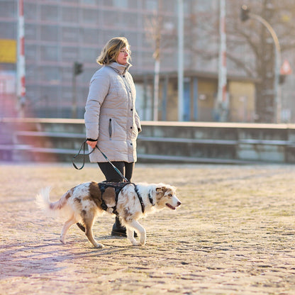 Non-stop dogwear Rock Harness Long