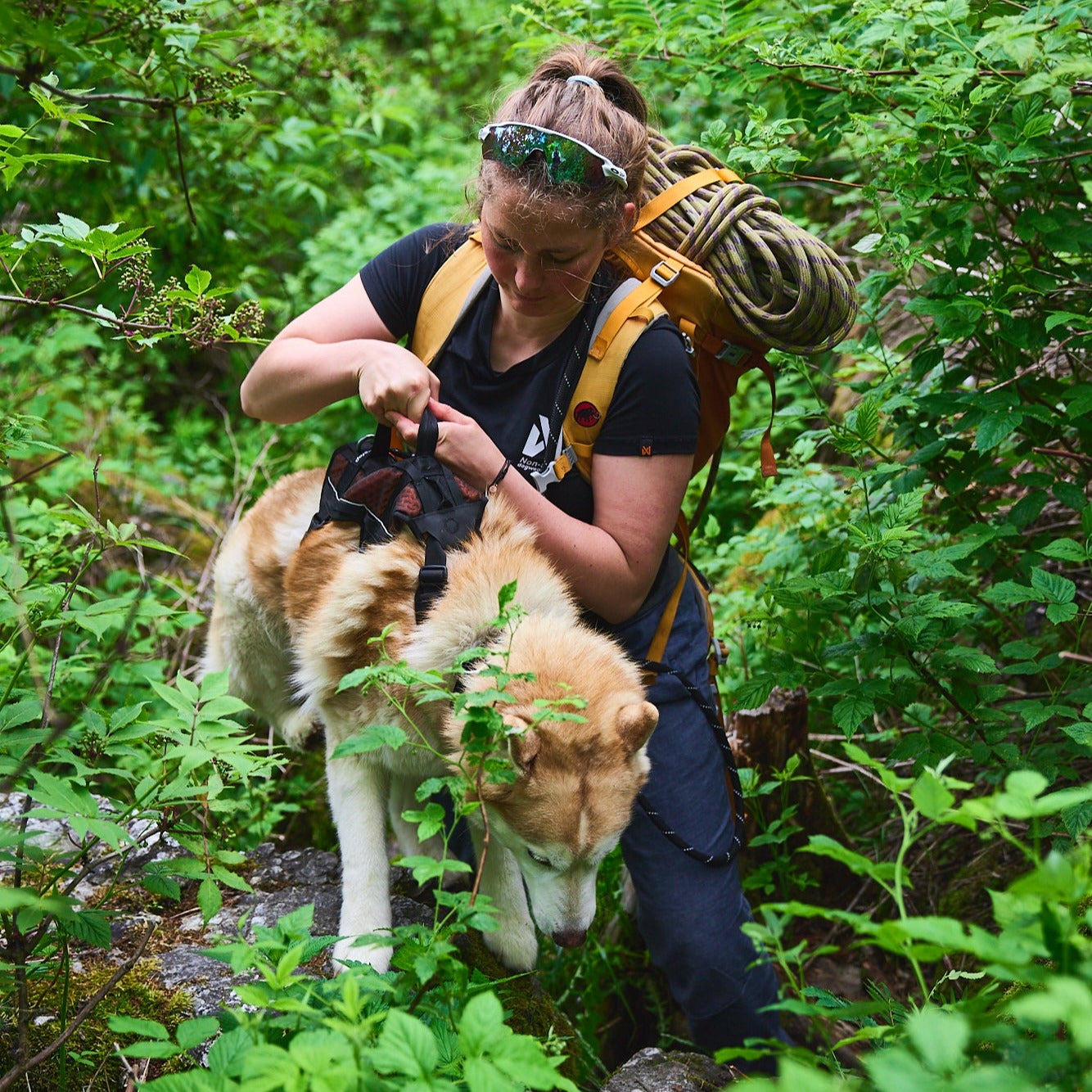 Non-stop dogwear Rock Harness Long