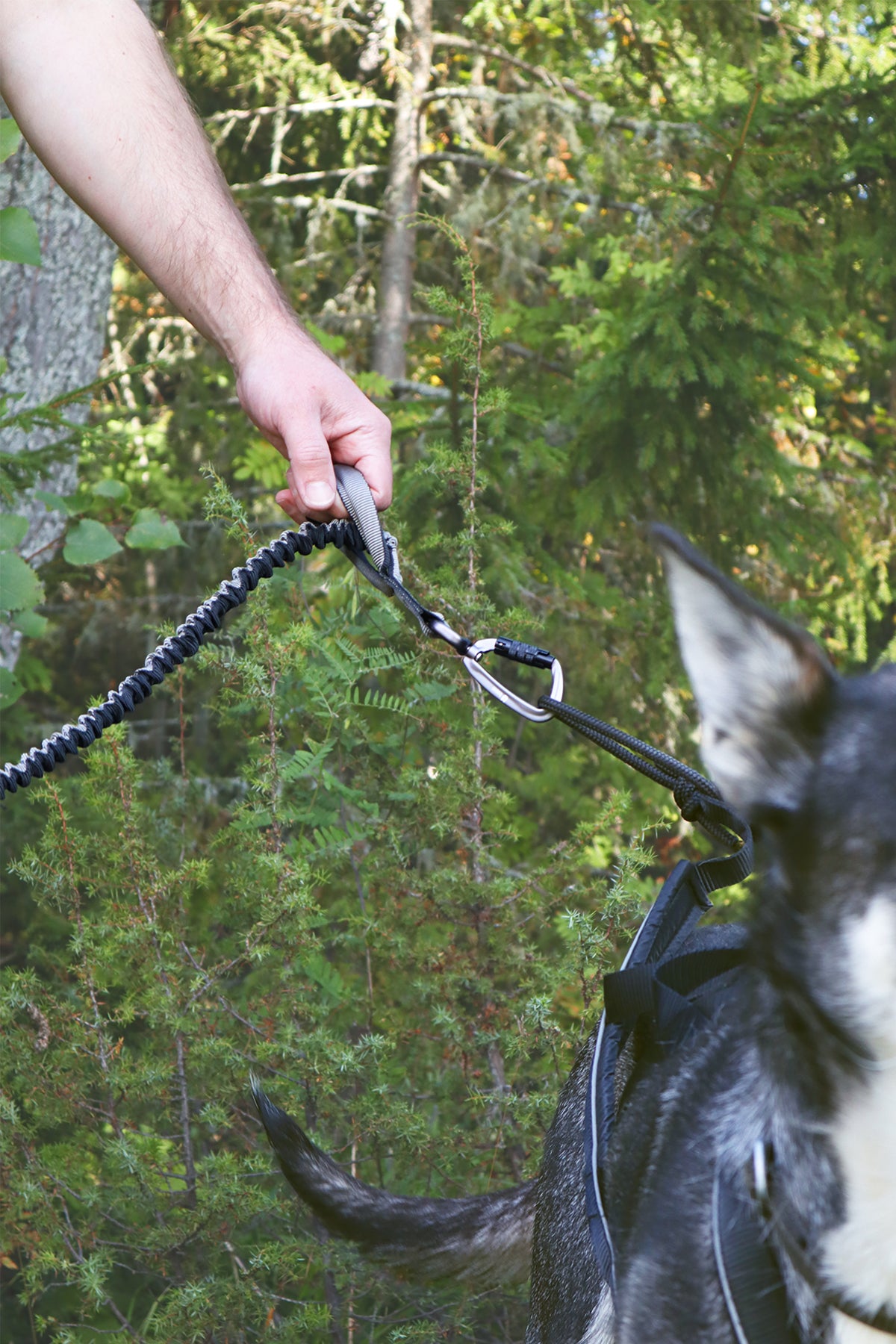 Lumac Sledding TERRA Bungee with Handle
