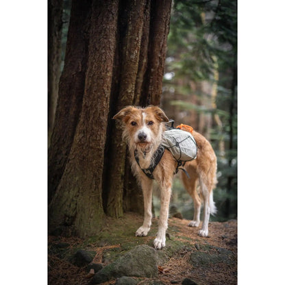 Non-stop dogwear Trail Light Dog Backpack
