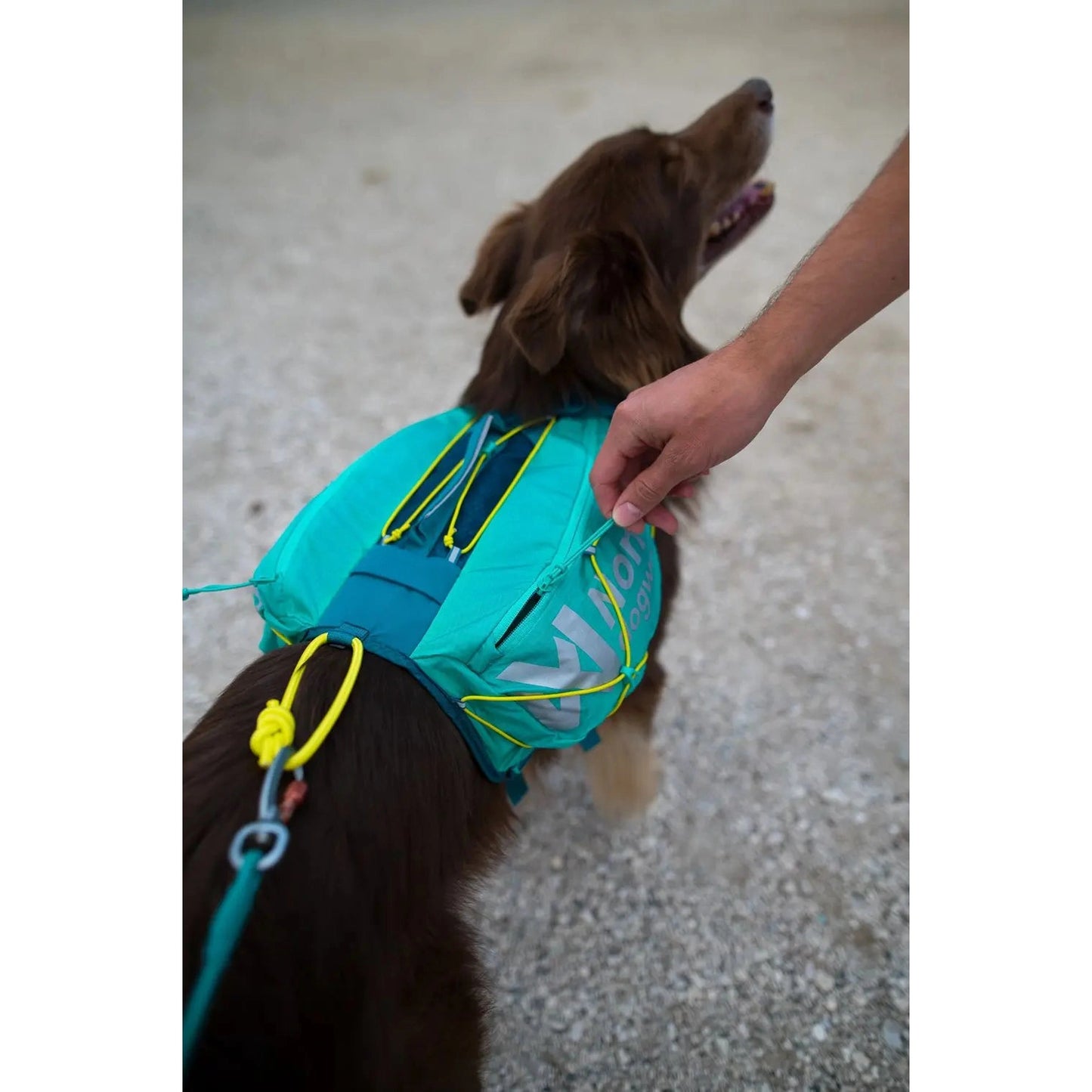 Non-stop dogwear Trail Light Dog Backpack