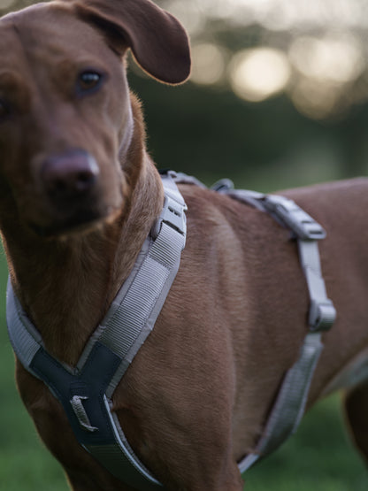 Non-stop dogwear Trekking Line Harness CLIP'N™