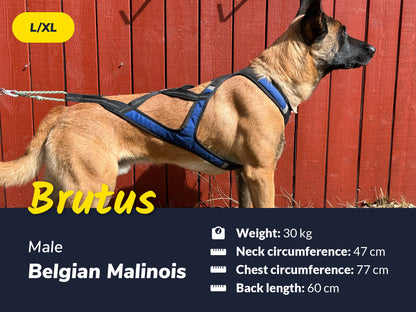 Axaeco Harness X-Shirt 2.0