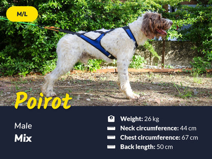 Axaeco Harness X-Shirt 2.0