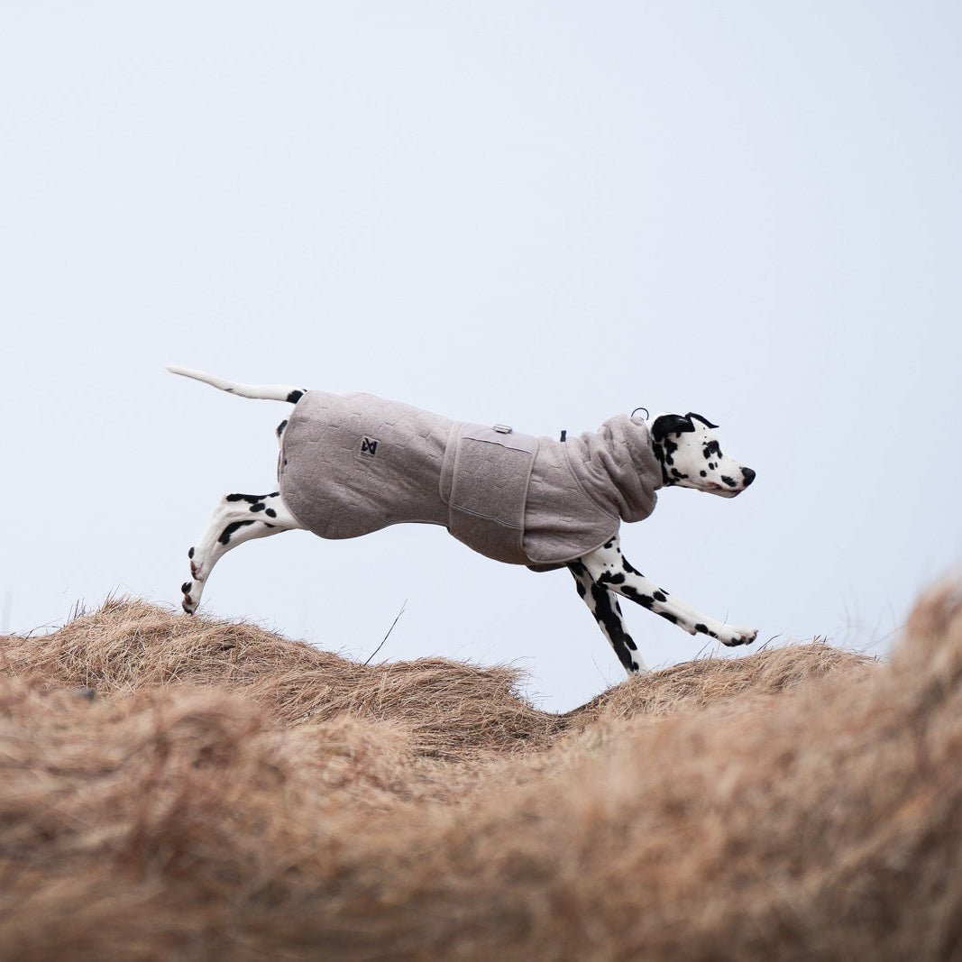 Non-stop dogwear Drying Coat