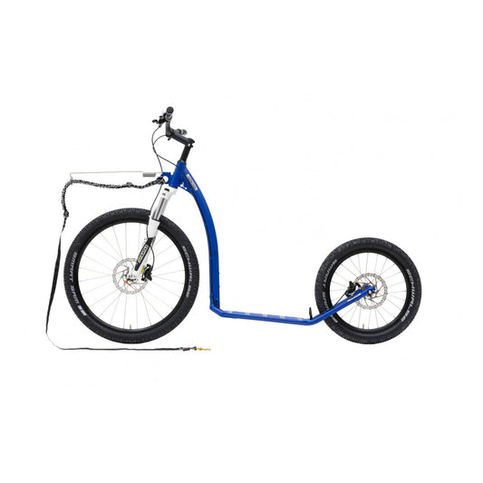 Kostka Mushing Max (G6)