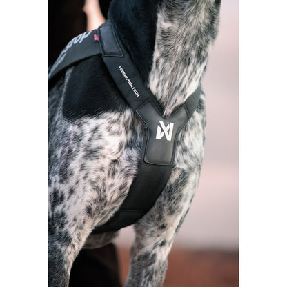 Non-stop dogwear Freemotion Harness Pro