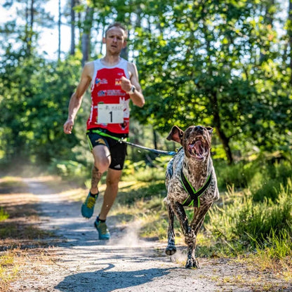 Inlandsis Crosslight Canicross Leash