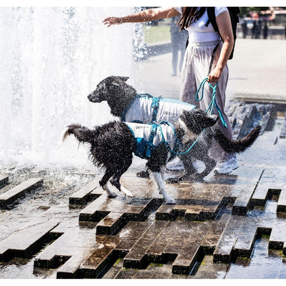 Non-stop dogwear Cooling Pull-On Vest