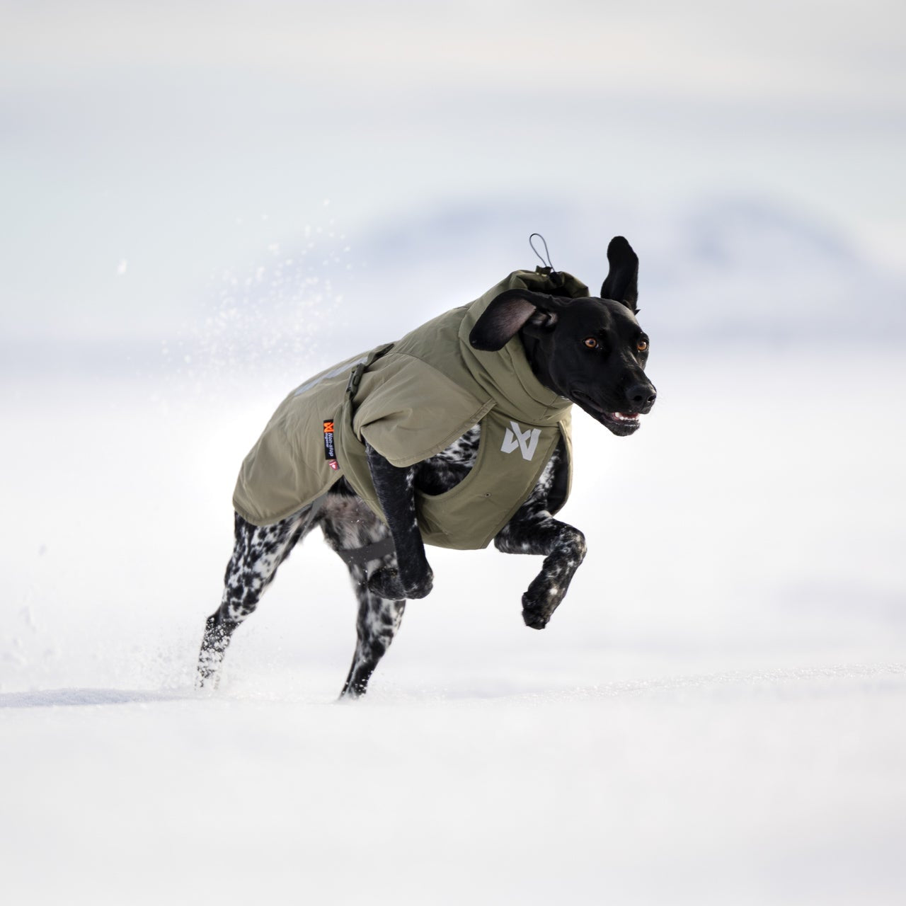 Non-stop dogwear Glacier Wool 3.0