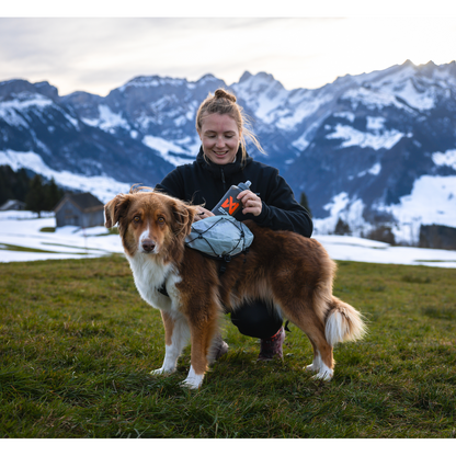 Non-stop dogwear Trail Light Dog Backpack