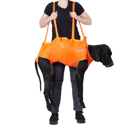 musta koira on oranssissa pelastusvaljaassa eli roikkuu ihmisen harteilla 