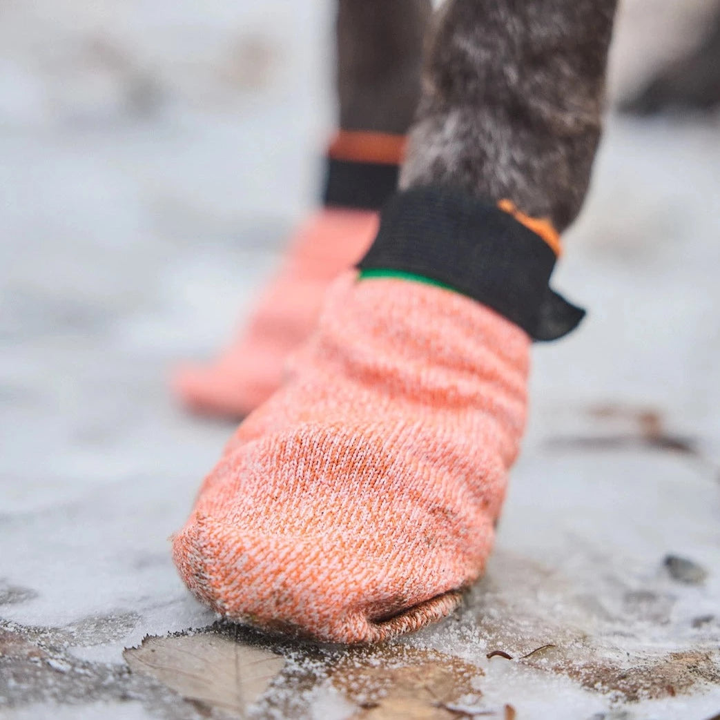 Non-stop dogwear Protector Light Socks, 4 pcs