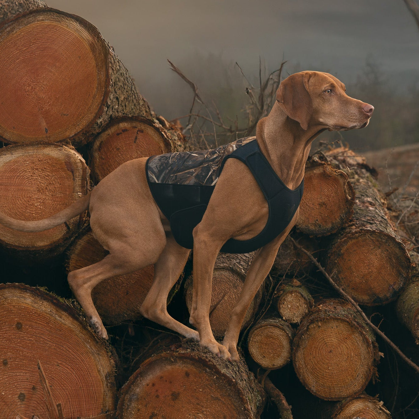 Non-stop dogwear Protector Neoprene Vest Light