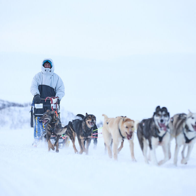 Non-stop dogwear Tundra anojakka 2.0