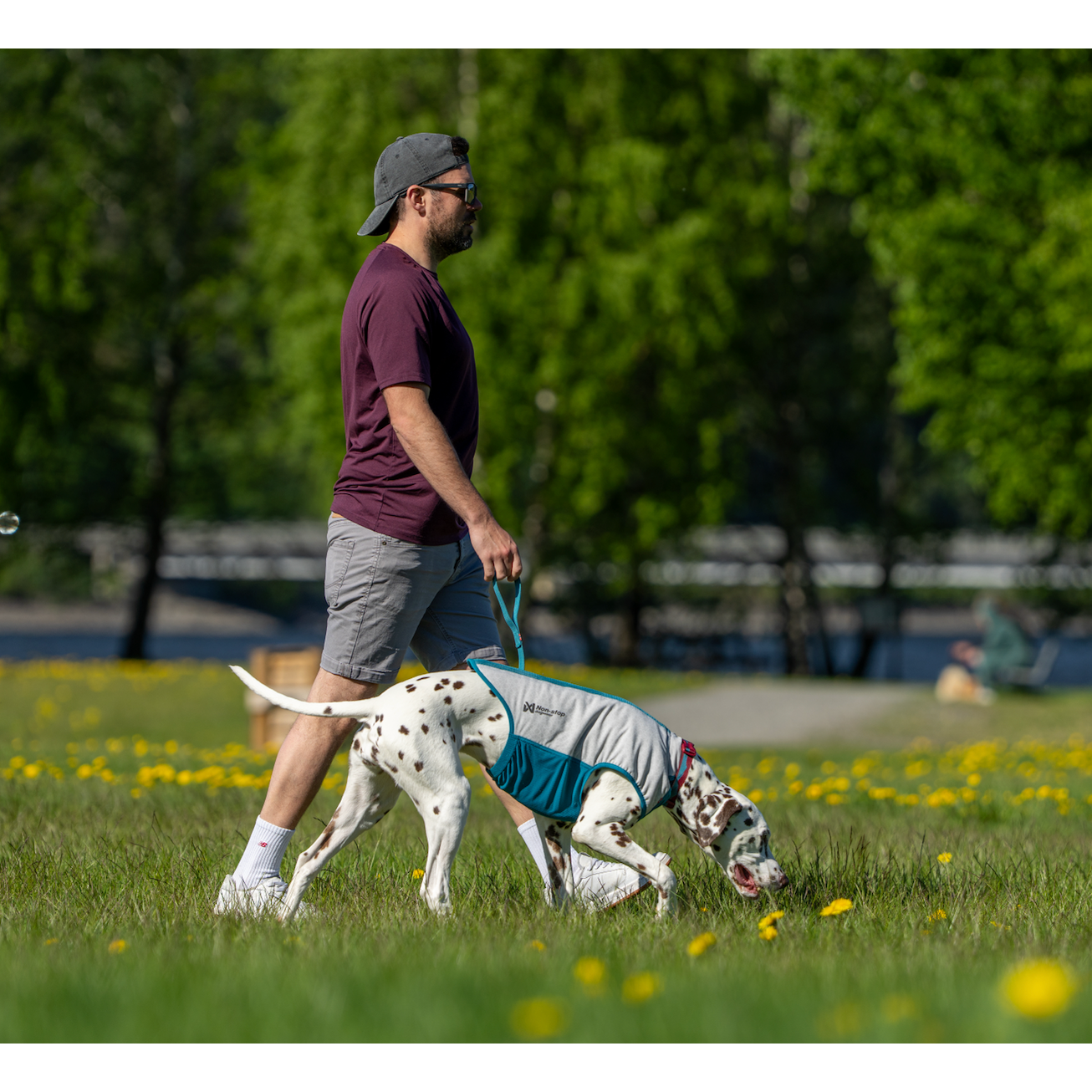 Non-stop dogwear Cooling Pull-On Vest
