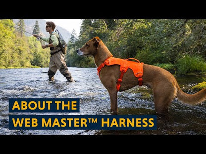 Ruffwear Web Master™ Dog Harness