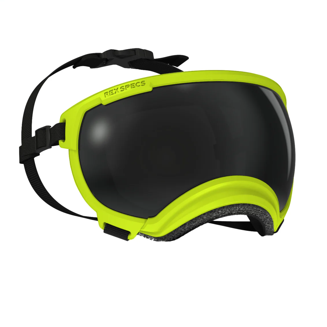 goggles specs Rex Specs V2 Dog Goggles dog protective glasses