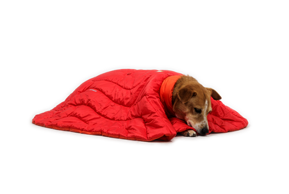 Ruffwear Palisades™ Sleep Poncho