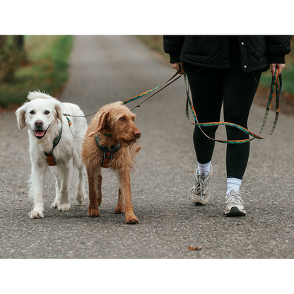 Non-stop dogwear Trail Quest Leash Rachel Pohl edition