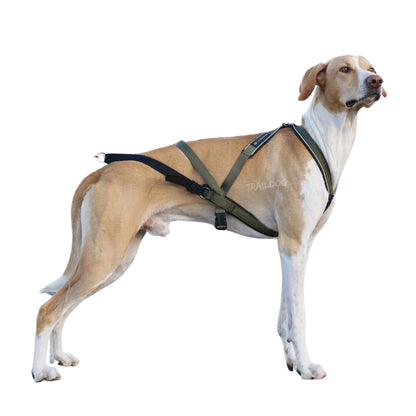 V.I.P dogwear Multisport Harness