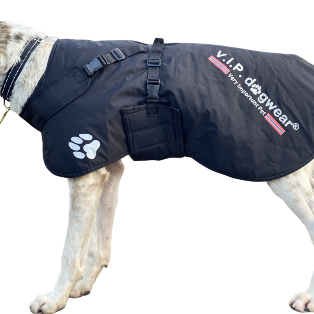 VIP Fast Track Cover